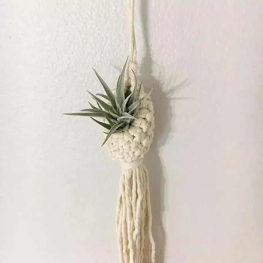 Urooz Macrame Cotton Boho Plant Hanger Rope Flower Pot Holder For Indoor Outdoor Balcony Gardening  