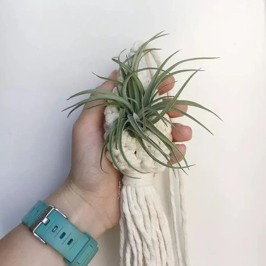 Urooz Macrame Cotton Boho Plant Hanger Rope Flower Pot Holder For Indoor Outdoor Balcony Gardening  