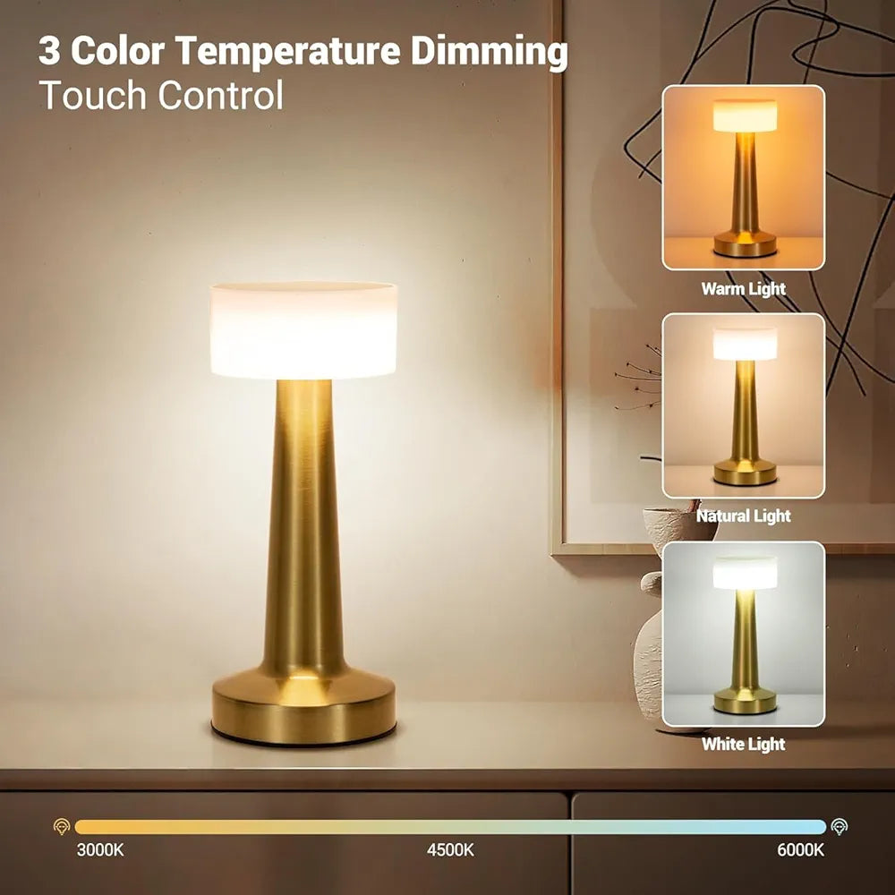 Desidiya Portable LED Table Lamp for Bedroom, Living Room, Stepless Dimming, 3 Colour Touch Control Metallic Finish Rechargeable Battery Backup Night Light, Bedside Table Lamp