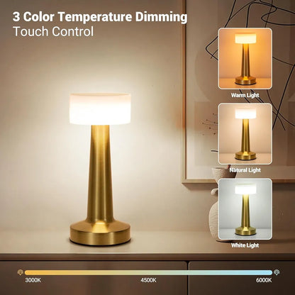 Desidiya Portable LED Table Lamp for Bedroom, Living Room, Stepless Dimming, 3 Colour Touch Control Metallic Finish Rechargeable Battery Backup Night Light, Bedside Table Lamp