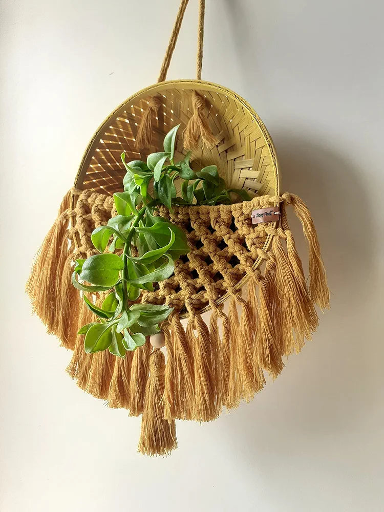 Zippy Flora Handmade Macrame Basket for Plants Perfect for Living Room/Home Decor/Boho Corners/Garden & Green Spaces 