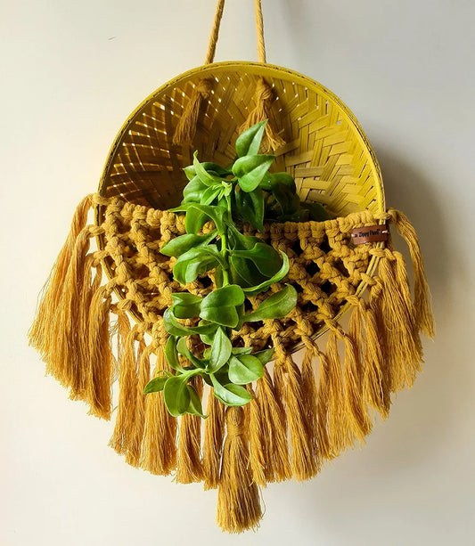 Zippy Flora Handmade Macrame Basket for Plants Perfect for Living Room/Home Decor/Boho Corners/Garden & Green Spaces 